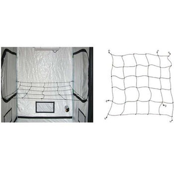 Web it Plant Support Trellis